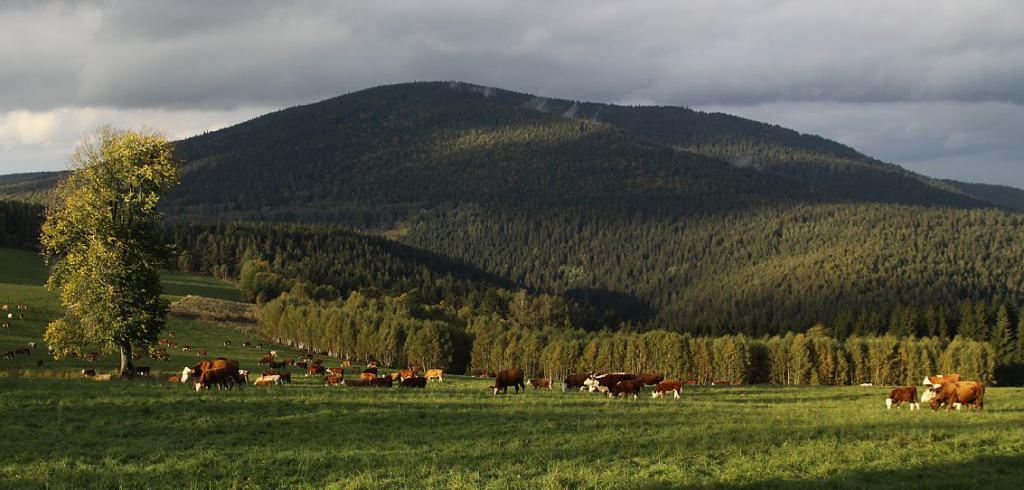 Mt. ET Seton (Křemelná Mountain)