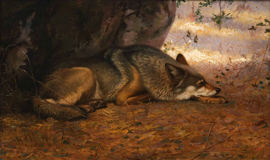 The Sleeping Wolf Oil Painting